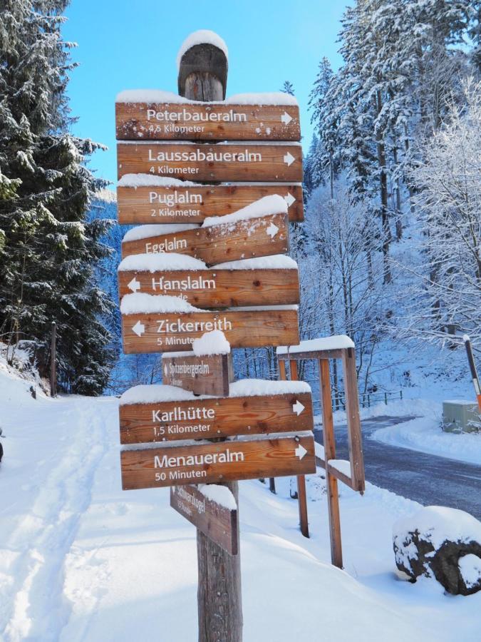 Zickerreith Almhutte Hostel Rosenau am Hengstpass Exterior foto