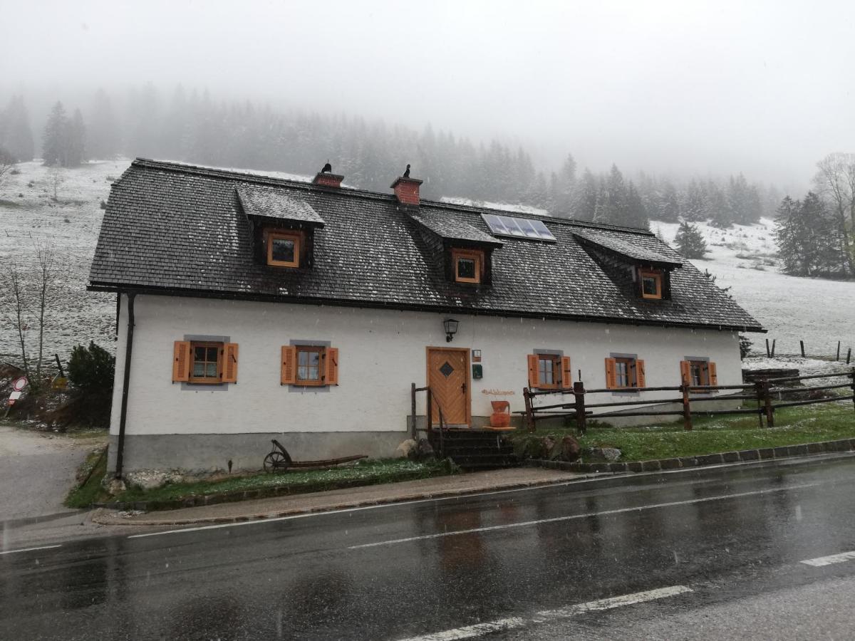 Zickerreith Almhutte Hostel Rosenau am Hengstpass Exterior foto