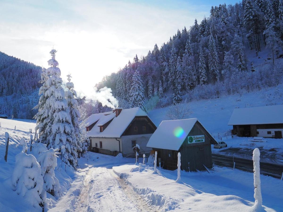 Zickerreith Almhutte Hostel Rosenau am Hengstpass Exterior foto